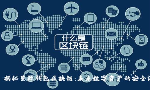 : 揭秘星际钱包区块链:未来数字资产的安全港