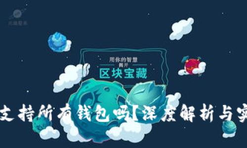 : USDT支持所有钱包吗?深度解析与实用建议