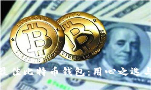 探索国内最佳比特币钱包:用心之选与安全保障