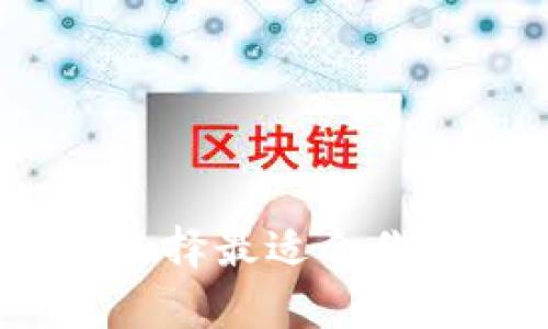 比特币钱包大揭秘:选择最适合你的数字货币存储方案