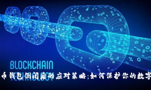 比特币钱包倒闭后的应对策略：如何保护你的数字资产