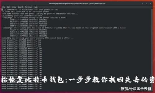 轻松恢复比特币钱包：一步步教你找回失去的资产