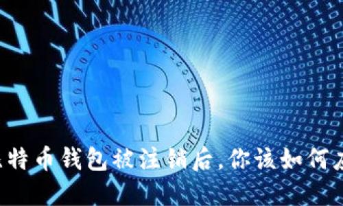当比特币钱包被注销后,你该如何应对?