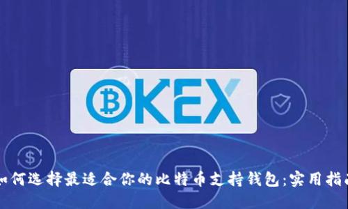 如何选择最适合你的比特币支持钱包:实用指南
