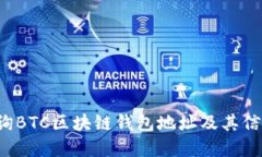 如何高效查询BTC区块链钱