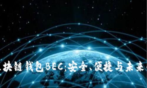 揭秘美图区块链钱包BEC：安全、便捷与未来的金融革命