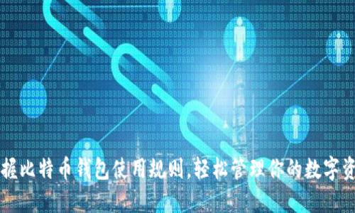 掌握比特币钱包使用规则,轻松管理你的数字资产