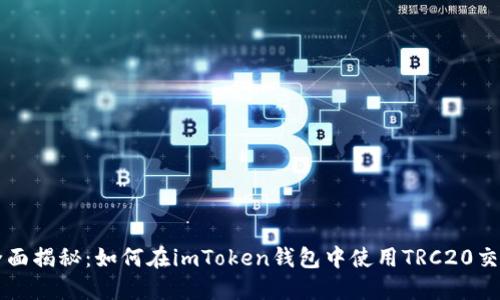 全面揭秘：如何在imToken钱包中使用TRC20交易