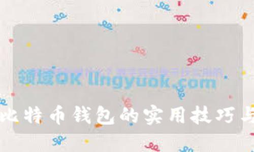 快速了解比特币钱包的实用技巧与安全保障