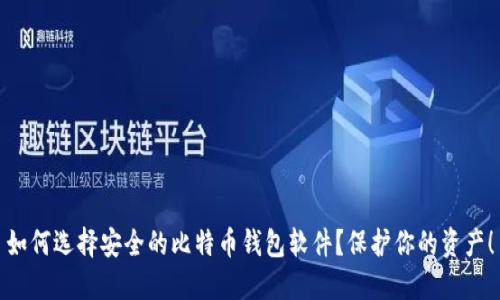 如何选择安全的比特币钱包软件?保护你的资产!
