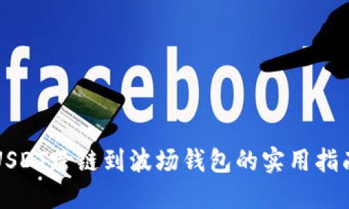 USDT跨链到波场钱包的实用指南