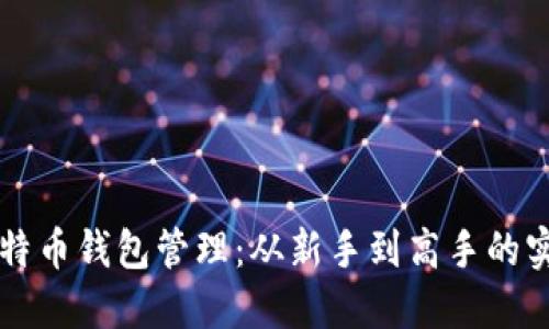 掌握比特币钱包管理:从新手到高手的实用指南