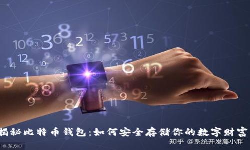揭秘比特币钱包：如何安全存储你的数字财富？