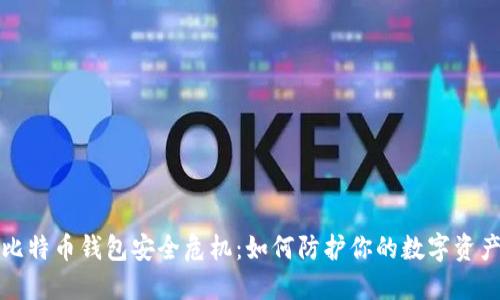 比特币钱包安全危机:如何防护你的数字资产