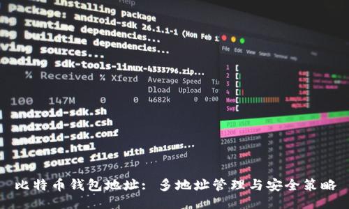比特币钱包地址: 多地址管理与安全策略