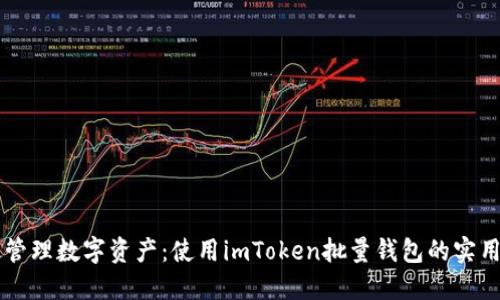 高效管理数字资产：使用imToken批量钱包的实用指南