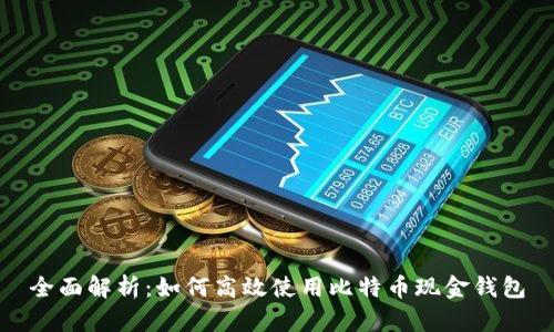 全面解析：如何高效使用比特币现金钱包