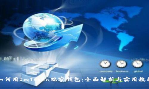 如何用ImToken观察钱包：全面解析与实用教程