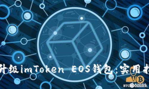 如何顺利升级imToken EOS钱包：实用指南与技巧