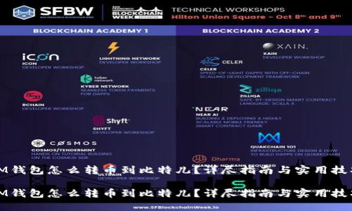 IM钱包怎么转币到比特儿？详尽指南与实用技巧

IM钱包怎么转币到比特儿？详尽指南与实用技巧