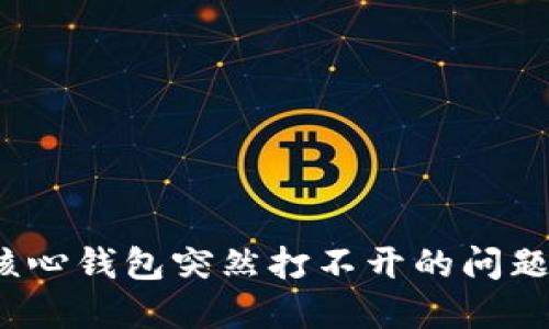 如何解决比特币核心钱包突然打不开的问题?实用指南和建议