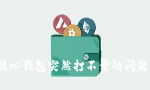 如何解决比特币核心钱包突然打不开的问题?实用指南和建议