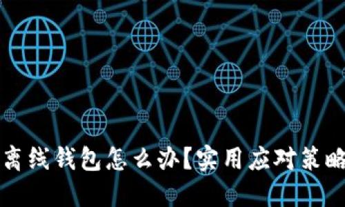 丢失虚拟币离线钱包怎么办？实用应对策略与心态调整