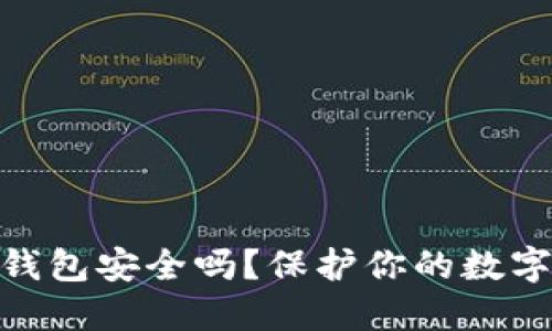 WPS记录比特币钱包安全吗?保护你的数字资产的方法详解