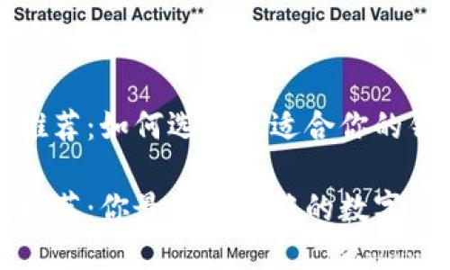 比特币钱包推荐：如何选择最适合你的钱包

比特币钱包推荐：你最值得信赖的数字资产保管方案