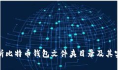 全面解析比特币钱包文件