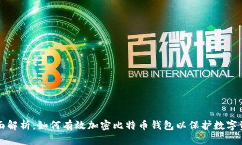 全面解析：如何有效加密比特币钱包以保护数字资产