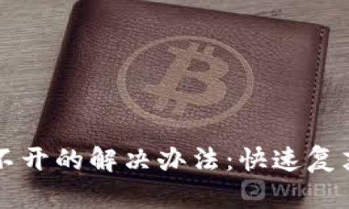 区块链钱包打不开的解决办法:快速复苏您的数字资产
