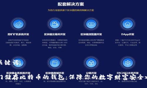 与关键词

专门储存比特币的钱包：保障你的数字财富安全之道