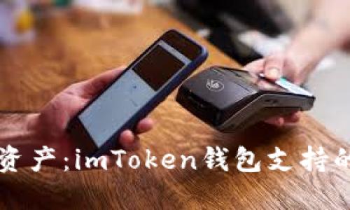 掌握数字资产：imToken钱包支持的币种详解