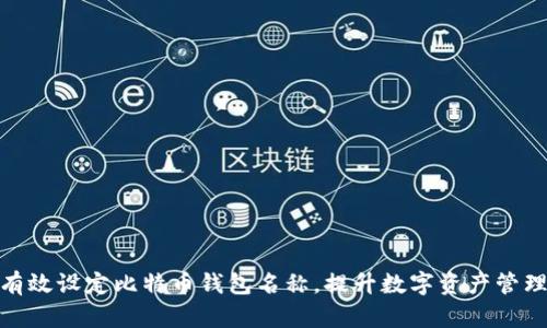 如何有效设定比特币钱包名称，提升数字资产管理体验