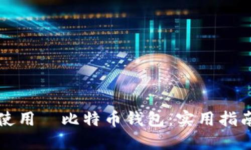 如何轻松下载和使用犇比特币钱包:实用指南与个人经验分享