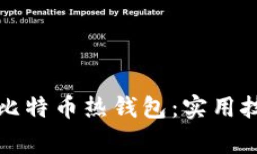 如何轻松更新比特币热钱包：实用技巧与注意事项