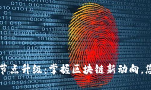 以太坊钱包节点升级：掌握区块链新动向，您的资金管理