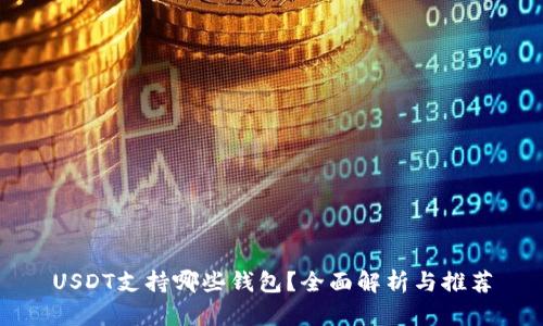 USDT支持哪些钱包?全面解析与推荐
