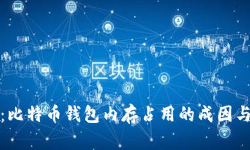 深入解析：比特币钱包内存占用的成因与实用价值