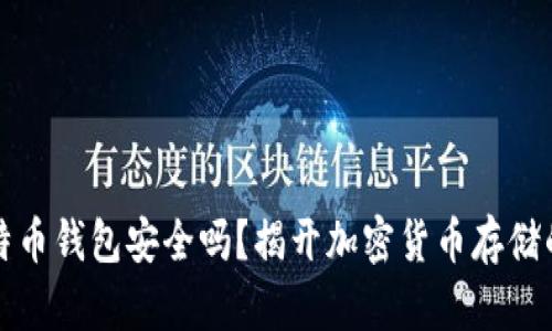 存比特币钱包安全吗？揭开加密货币存储的真相