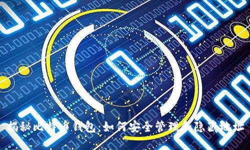 揭秘比特币钱包:如何安全管理和隐藏地址