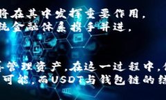   探索 USDT 钱包链的实用价