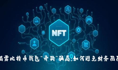 揭露比特币钱包“开狗”骗局：如何避免财务陷阱