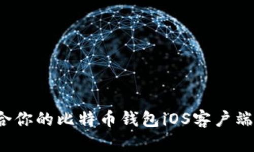 如何选择最适合你的比特币钱包iOS客户端？实用指南分享