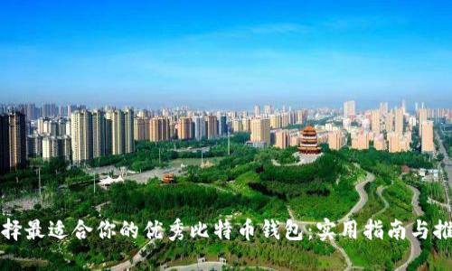 选择最适合你的优秀比特币钱包：实用指南与推荐