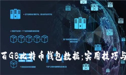 如何管理百GB比特币钱包数据：实用技巧与经验分享