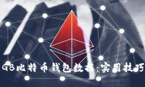 如何管理百GB比特币钱包数据：实用技巧与经验分享