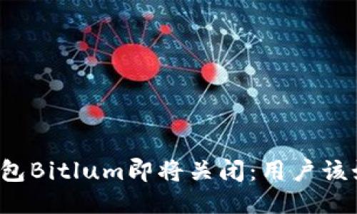 比特币钱包Bitlum即将关闭：用户该如何应对？