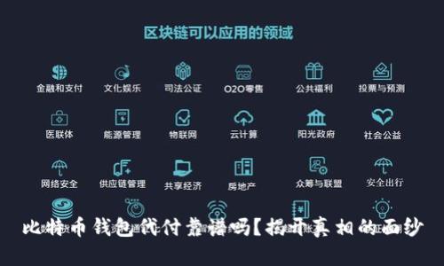 比特币钱包代付靠谱吗？揭开真相的面纱